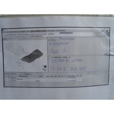 MINI Paceman R61 kalaptartó