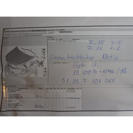 [GYÁRI ÚJ] BMW - Gépháztetőteleszkóp Aktív - F15 X5; F16 X6 
