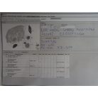 [GYÁRI ÚJSZERŰ] BMW - LED modul - Nappali menetfény - X5 ; G05 ; X6 ; G06 ; X7 ; G07 