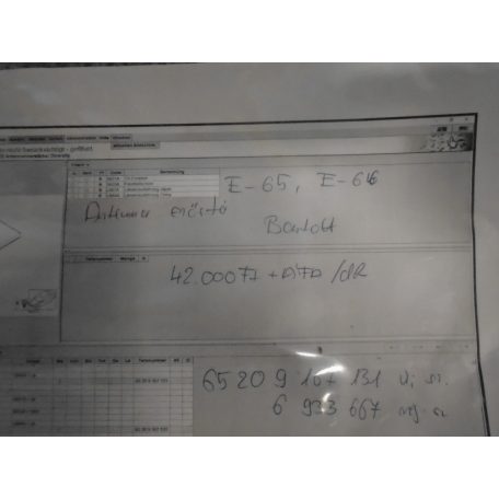 [GYÁRI BOTNOTT] BMW - ANTENNA ERŐSÍTŐ | E65; E66 / 7-ES | 65209107131; 6933667